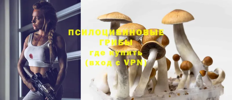 как найти   мега ТОР  Псилоцибиновые грибы Psilocybine cubensis  Полярные Зори 